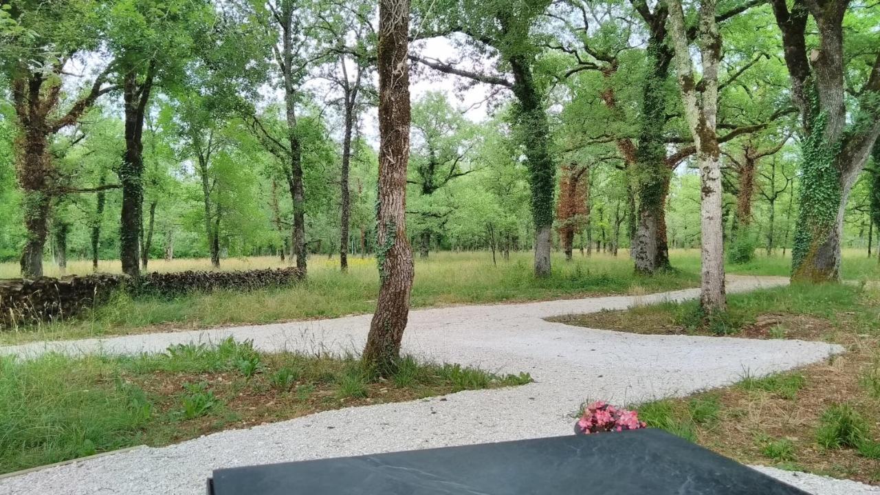 La Terrasse - A Peaceful Place In The Forest Ferienhaus *