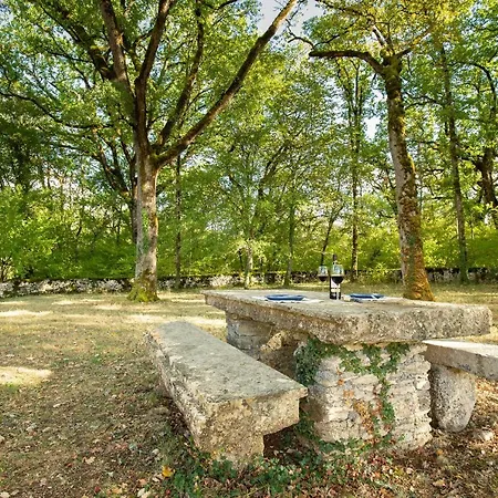 La Terrasse - A Peaceful Place In The Forest Concots Exterior foto